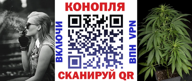 Бошки марихуана Amnesia  где купить наркоту  Зверево 